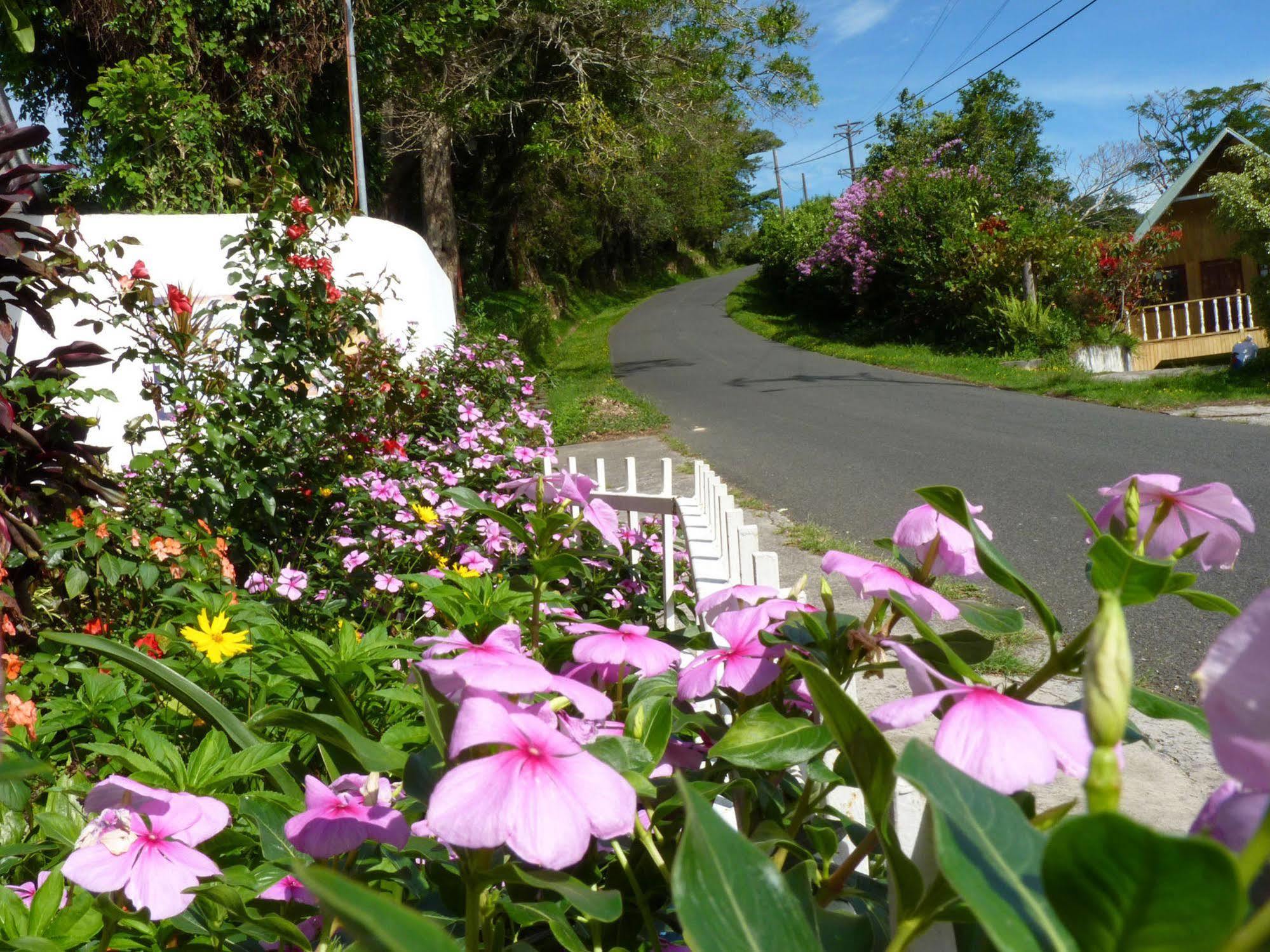 Autana Bed & Breakfast Boquete Exterior foto